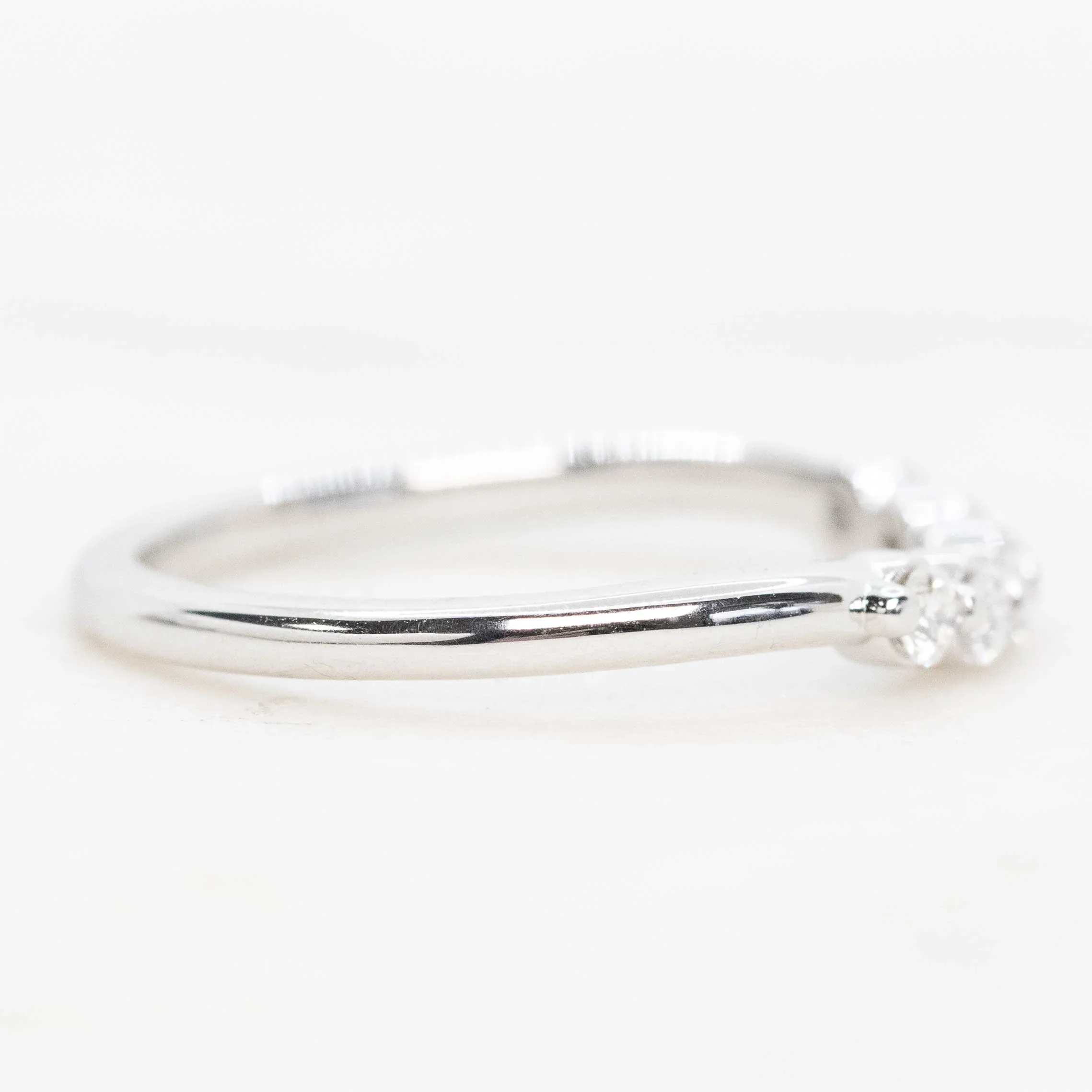 Andia Band - Image 6