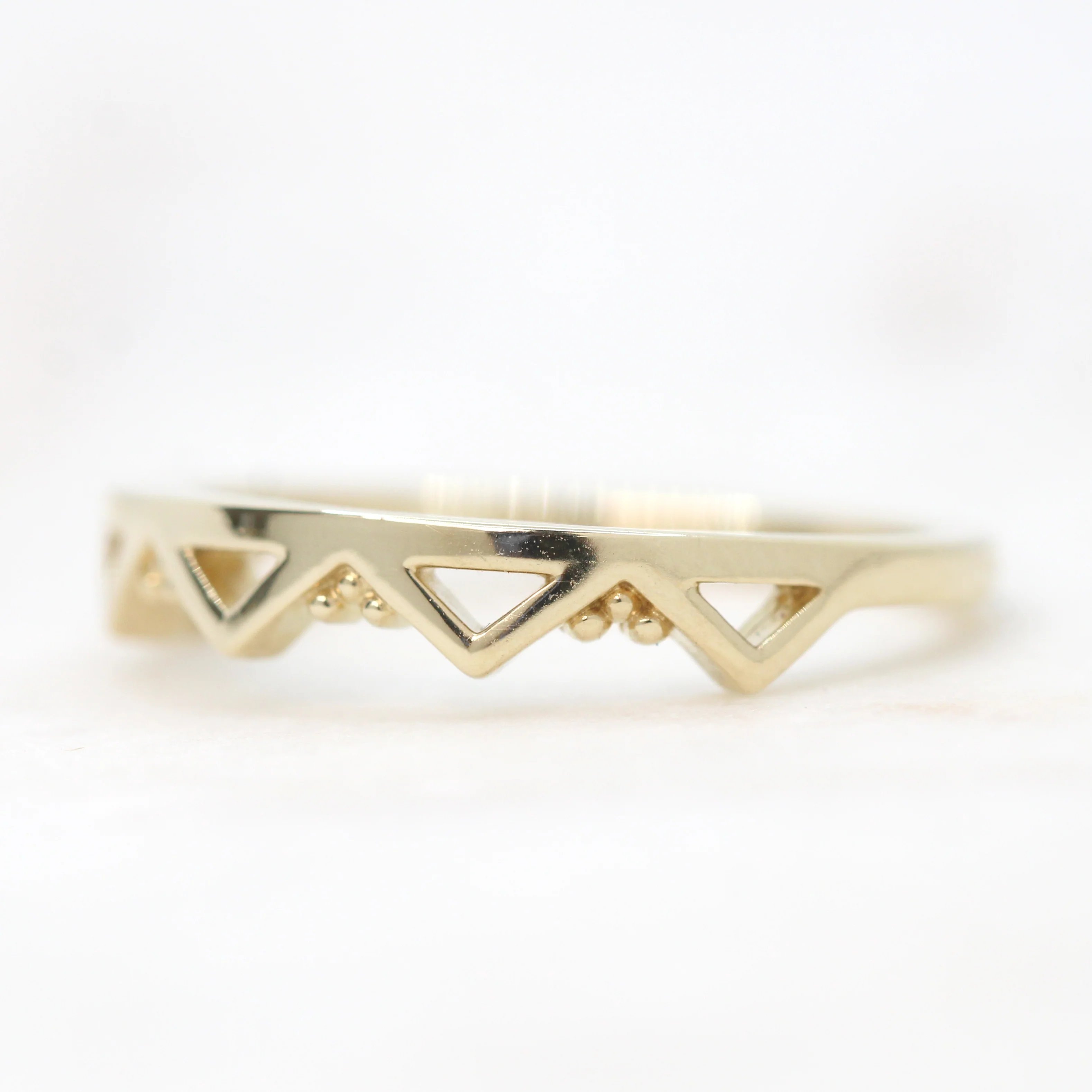 Alpine Band - Image 7
