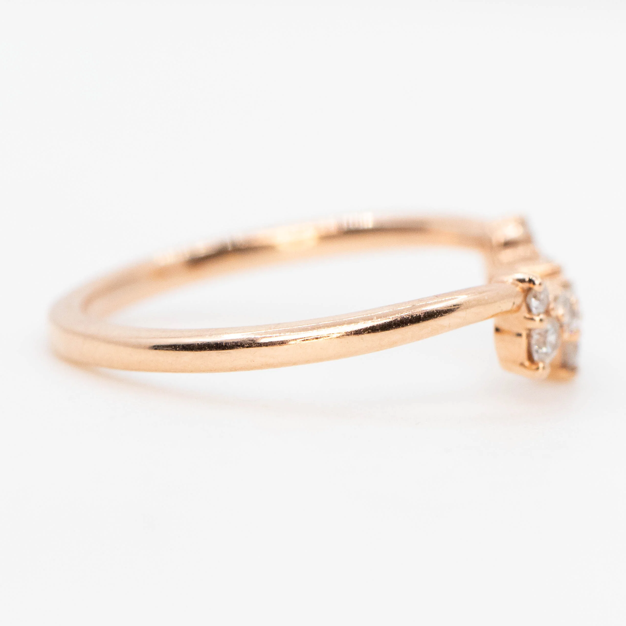 Ari Band - Image 6