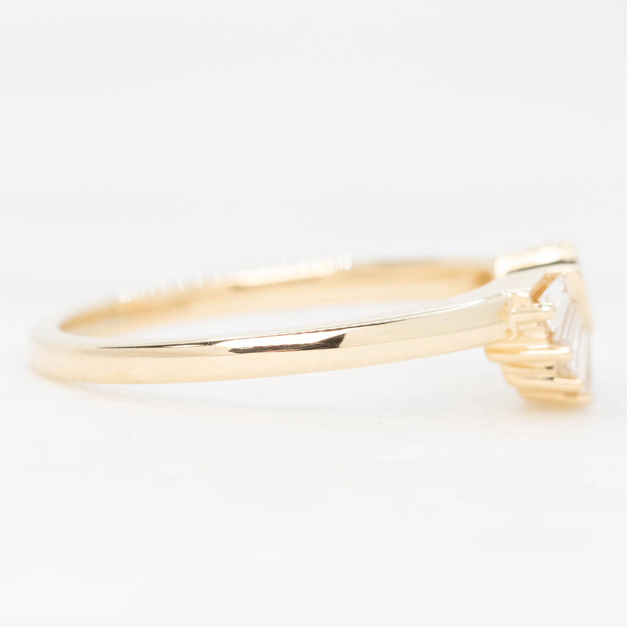 Audrey Band - Image 7
