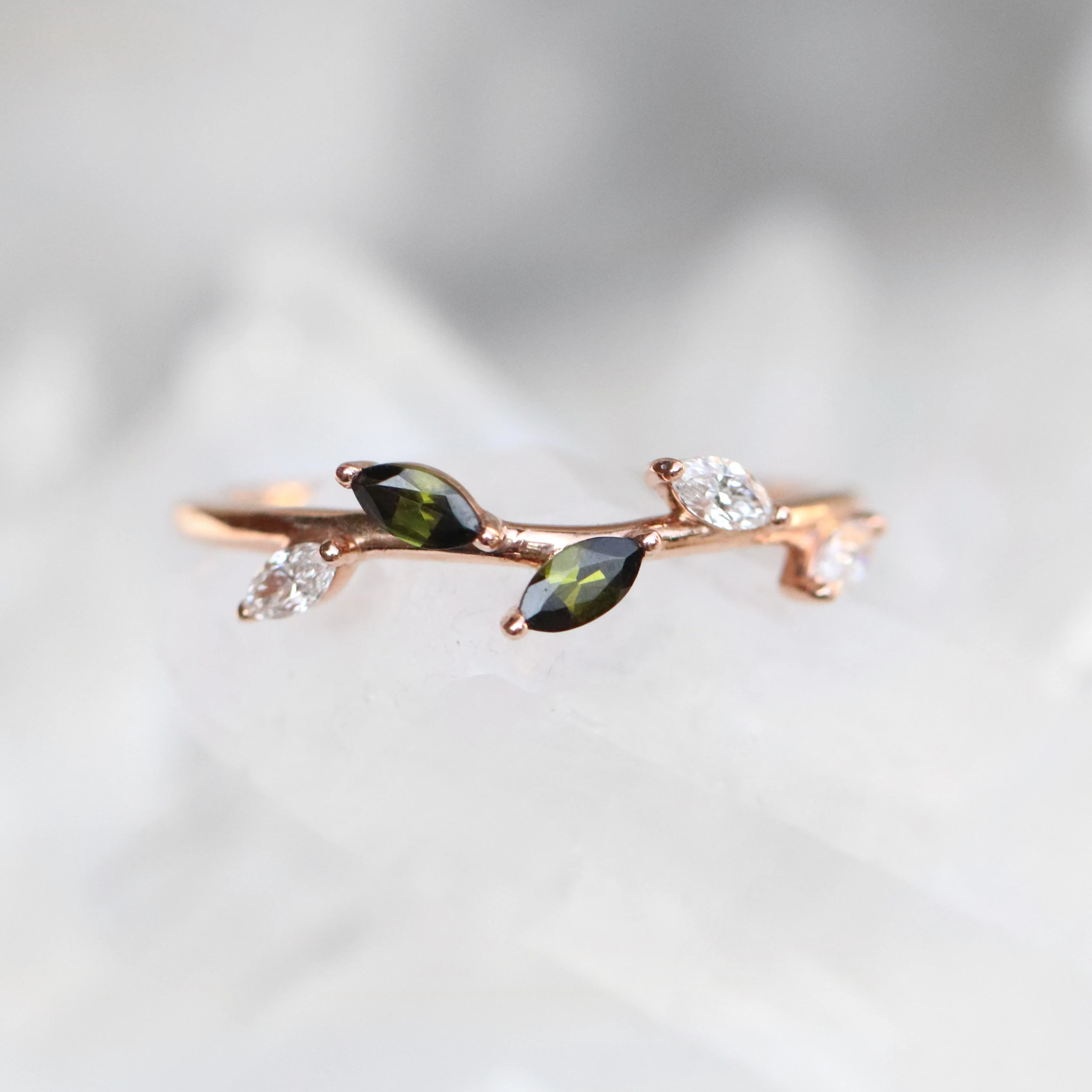 Briar Rose Band - Image 2