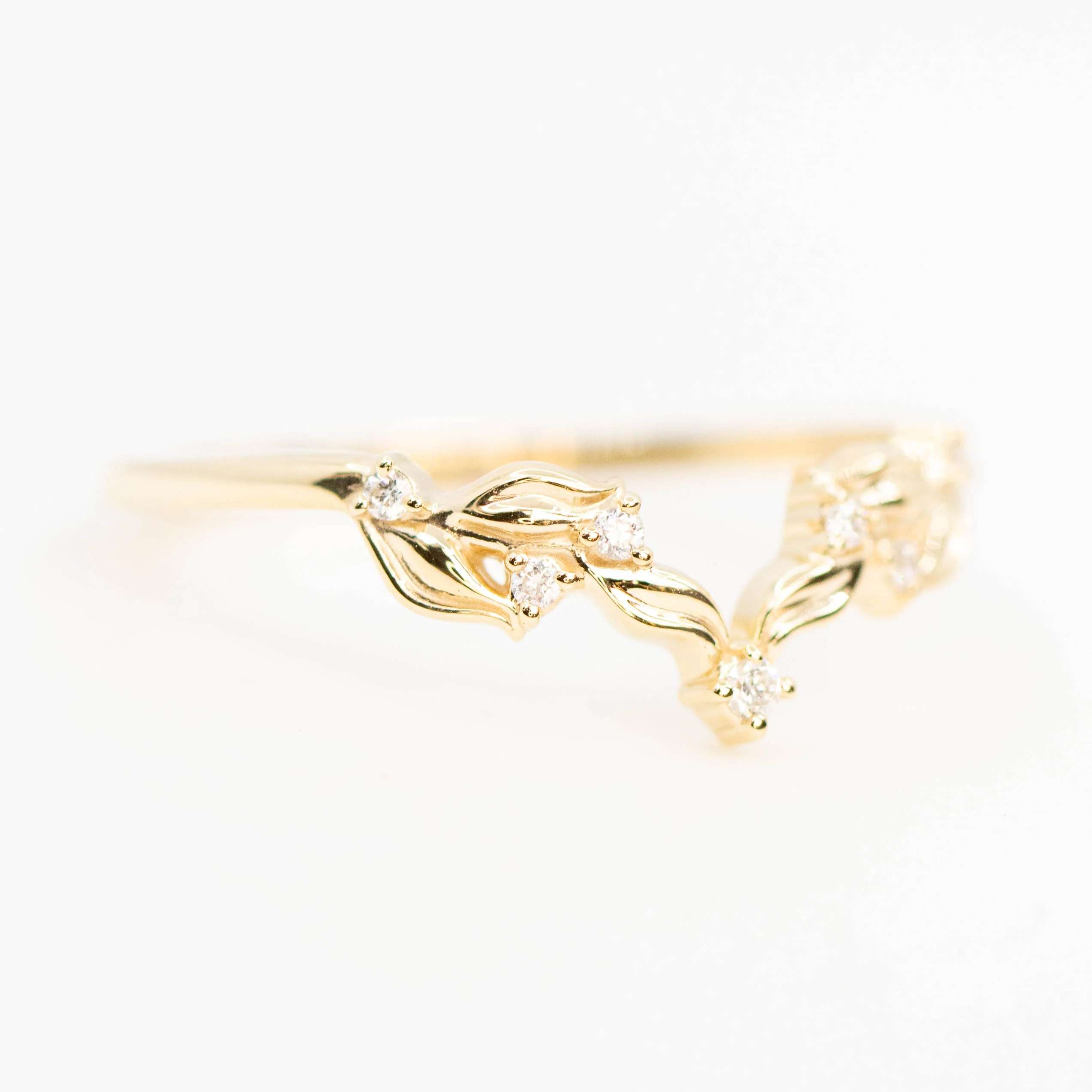 Circe Band - Image 5