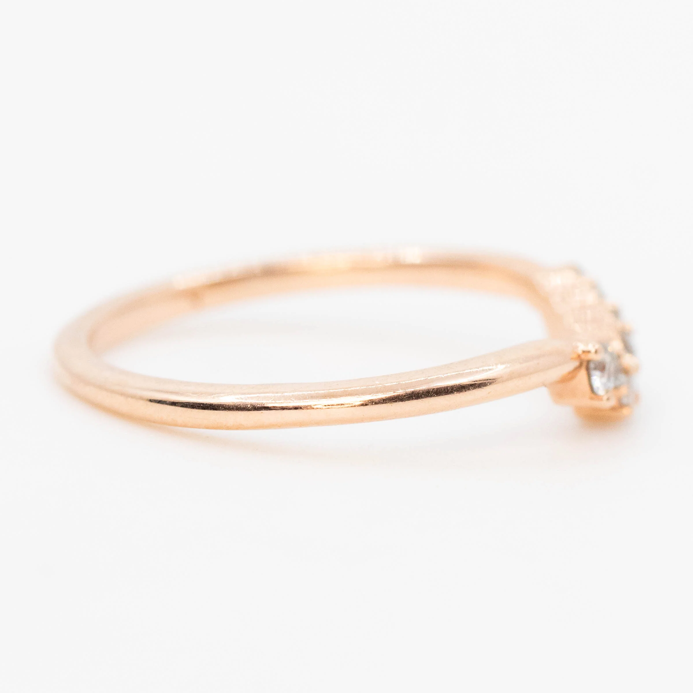 Nova Band - Image 6
