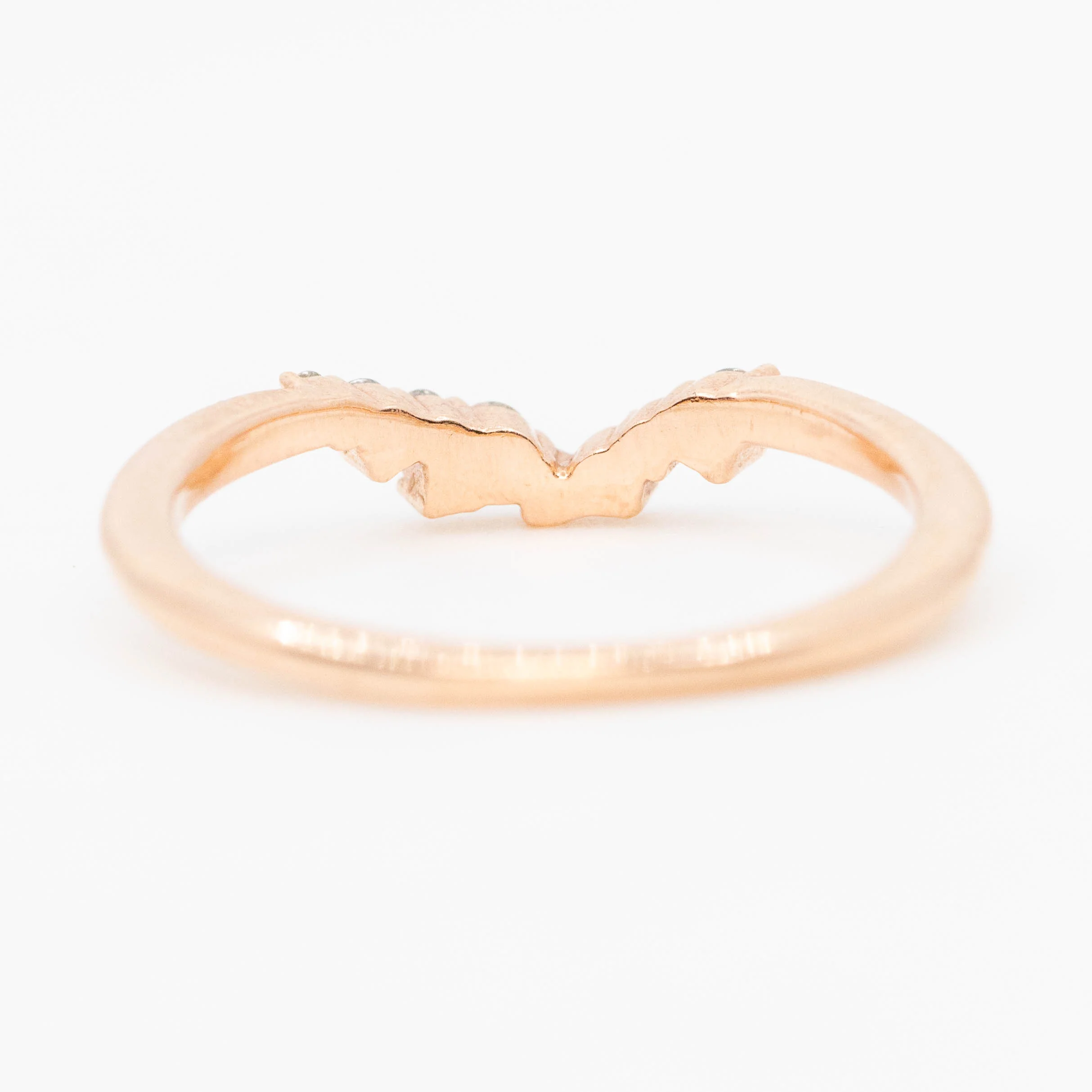 Nova Band - Image 7