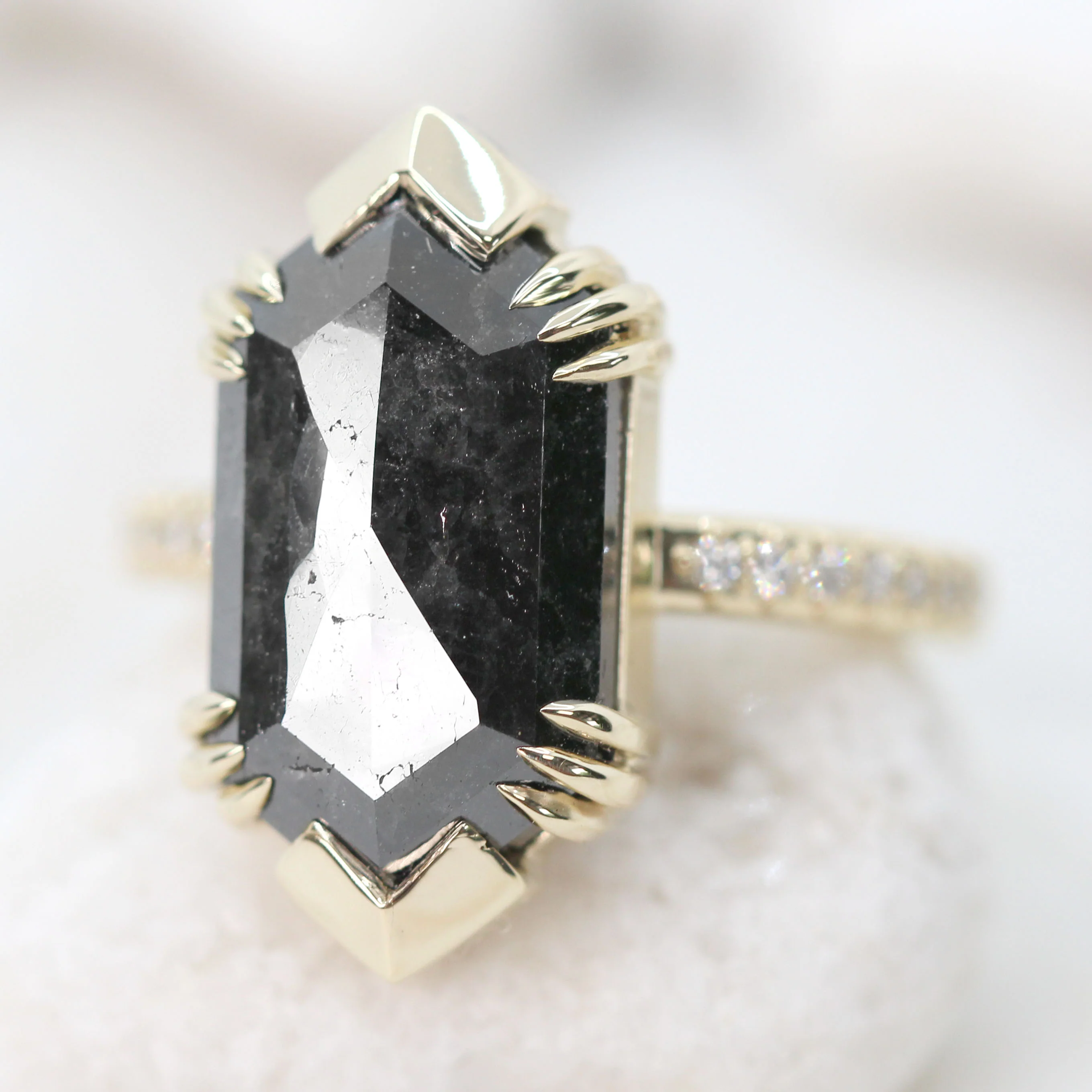 Project: Custom Ebony Ring with a 6 Carat Black Hexagon Salt and Pepper Diamond and White Accent Diamonds in 14k - Image 4